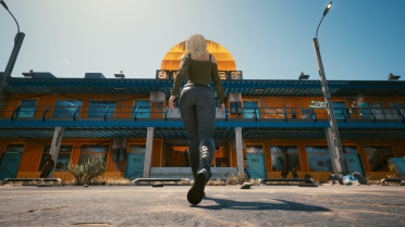 NC product-Panam Palmer