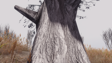 4K Lookout Swampscape