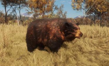 Thousands of Great and Rare Animals