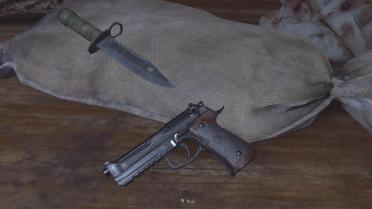 Free Vision Injection Camera