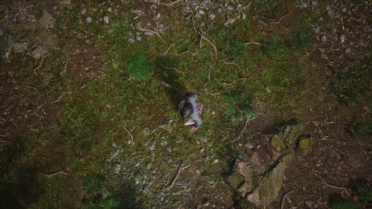 AMD CAS Preset and Color