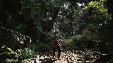 Remove Annoying Effects